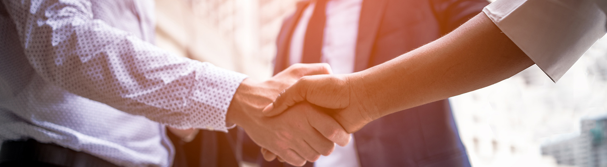 Accounting Firm Hamilton Chartered Accountants Waikato